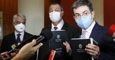 Artigo: Integrantes da CPI da Covid-19 pedem providências a MP e MPF no Rio