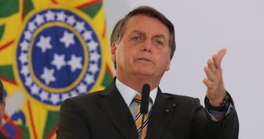 Artigo: PF diz ao STF que Bolsonaro cometeu incitação ao crime por associar vacina da Covid à Aids