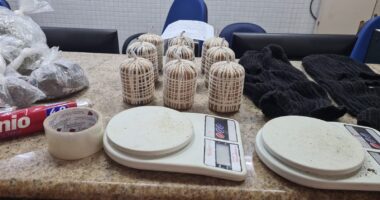 Artigo: Polícia apreende granadas e drogas no bairro de Pernambués