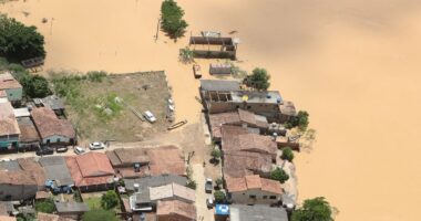 Artigo: Bahia: 175 municípios estão em situação de emergência