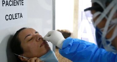 Artigo: Brasil registra 27 casos da variante Ômicron, diz Ministério da Saúde