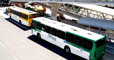 Artigo: Rodoviários encerram paralisação e ônibus voltam a circular em Salvador