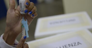 Artigo: Vacinação contra gripe segue nesta quarta em Salvador