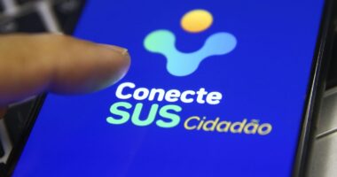 Artigo: Saúde: sistemas de dados serão normalizados até sexta