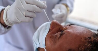 Artigo: Prefeitura inicia testagem contra a Covid-19 no bairro de Brotas a partir desta terça