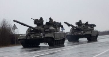 Artigo: Em busca da paz, Rússia e Ucrânia marcam nova rodada de negociação