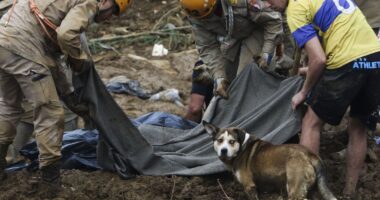 Artigo: Sobe para 208 número de mortos na tragédia em Petrópolis