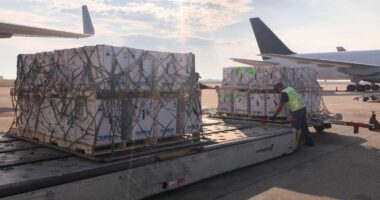 Artigo: Covid-19: Brasil recebe mais 2 milhões de doses da vacina da Pfizer