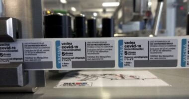 Artigo: Covid-19: Fiocruz entrega 550 mil doses de vacina 100% brasileira