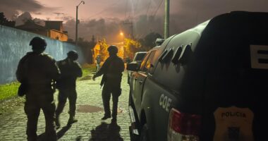 Artigo: Polícia Civil prende oito durante operação contra grupo criminoso em Dias d’ Ávila