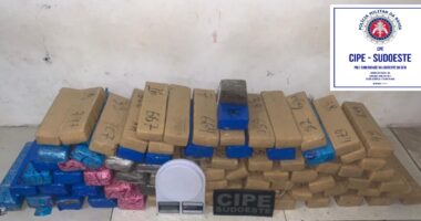 Artigo: Vitória da Conquista: polícia apreende cerca de 61 kg de maconha em um imóvel abandonado