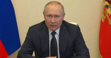 Artigo: Para Putin, “operação” na Ucrânia corre dentro do esperado