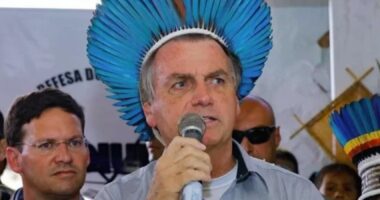 Artigo: Bolsonaro diz mortes de índios em seu governo é “menor que no governo do PT”
