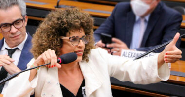 Artigo: Maria Marighella debate Marco Regulatório da Cultura na Câmara Federal