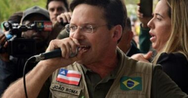 Artigo: Em fala homofóbica, Roma diz que crianças adotadas por casais homoafetivos estão expostas à sexualização