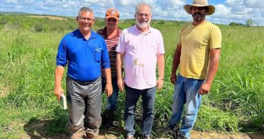 Artigo: Após derrota nas urnas, Marcelo Nilo se dedica ao campo plantando milho