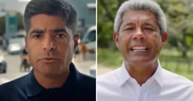 Artigo: Eleição em Salvador será novo embate entre ACM Neto e Jerônimo, entende analista