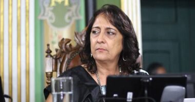 Artigo: Após ação de Ana Rita Tavares, MP-BA apura irregularidades no Hospital Veterinário