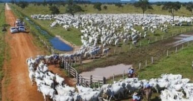 Artigo: Deputado baiano compra fazenda no interior da Bahia por R$ 20 milhões
