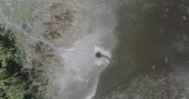 Artigo: Síndico reage à nota da Alphaville: “Não dá para fingir que os laudos e as imagens não existem”