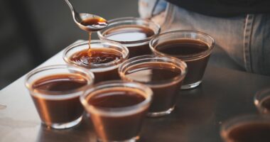 Artigo: Especialistas apontam: ‘futuro do café baiano está na conexão e origem’