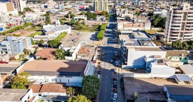 Artigo: Justiça aplica multa e obriga plantio de árvores em caso de crime ambiental em Luís Eduardo Magalhães