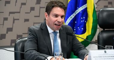 Artigo: Esposa diz que “perseguição” motivou fuga de Ramagem para os EUA após condenação