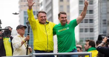 Artigo: Bolsonaro ignora Tarcísio e abençoa Flávio como candidato em 2026, diz coluna