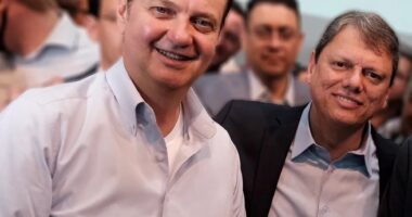 Artigo: Kassab diz que Tarcísio não deve perder a autonomia por gratidão a Bolsonaro