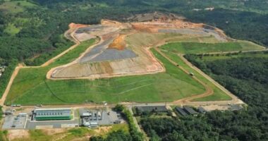 Artigo: Investigação apura suspeita de relatórios ambientais falsos envolvendo a Battre na Bahia