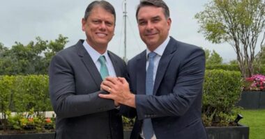 Artigo: Tarcísio publica primeira foto ao lado de Flávio Bolsonaro após anuncio de pré-candidatura