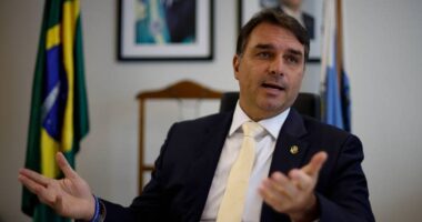 Artigo: Flávio Bolsonaro sinaliza apoio ao fim da reeleição em eventual plano de governo