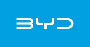 Artigo: Enquanto ignora a Bahia, BYD deve fazer proposta de patrocínio milionária ao Grêmio