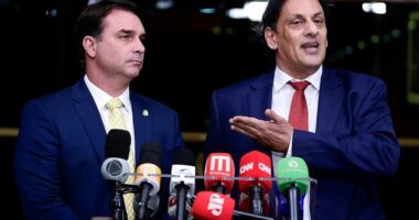 Artigo: Advogado da família Bolsonaro, Wassef deseja ser ministro de Flávio, diz site