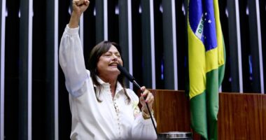 Artigo: Alice Portugal cobra explicações de ACM Neto sobre repasses do Banco Master