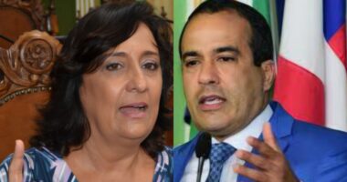 Artigo: Ana Rita Tavares cobra Prefeitura após cadela prenha agonizar em shopping de Salvador