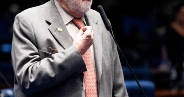 Artigo: Jaques Wagner diz que não seguirá “onda” de ataques ao STF durante eleição