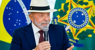 Artigo: Lula lidera cenário de primeiro turno com 41,6%, aponta pesquisa Futura/Apex