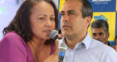 Artigo: “EcoFake”, diz Aladilce sobre instalação de árvores artificiais em Salvador