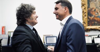 Artigo: Pesquisa aponta que apoio de Milei a Flávio pode favorecer Lula, segundo eleitores