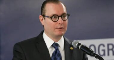Artigo: Ministro Cristiano Zanin determina prorrogação da votação até as 19h em todo o Brasil